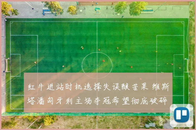 红牛进站时机选择失误酿苦果 维斯塔潘匈牙利主场夺冠希望彻底破碎
